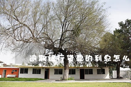 逾期银行贷款的利息怎么计算 逾期银行贷款的利息怎么计算