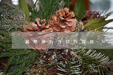 逾期银行贷款的罚息 逾期银行贷款的罚息