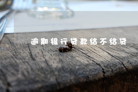逾期银行贷款给不给贷 逾期银行贷款给不给贷