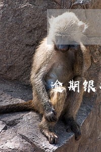 逾期银行资产取证