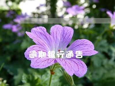 逾期银行通告