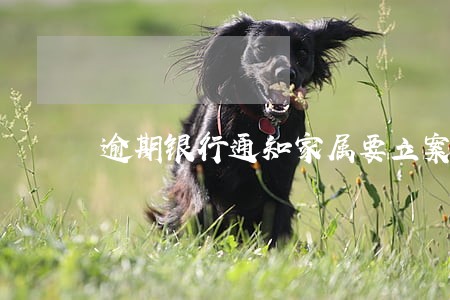 逾期银行通知家属要立案侦查 逾期银行通知家属要立案侦查