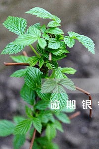 逾期银行面签 逾期银行面签