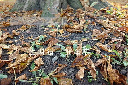 逾期销卡五年后 逾期销卡五年后
