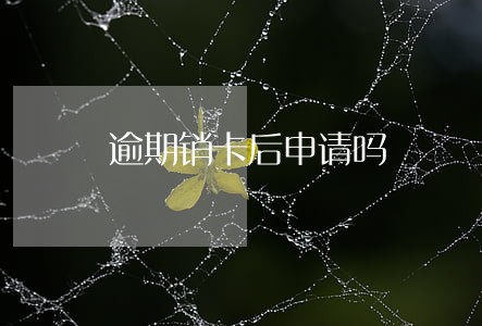 逾期销卡后申请吗 逾期销卡后申请吗