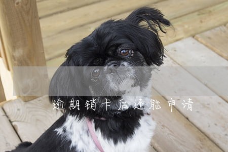 逾期销卡后还能申请 逾期销卡后还能申请