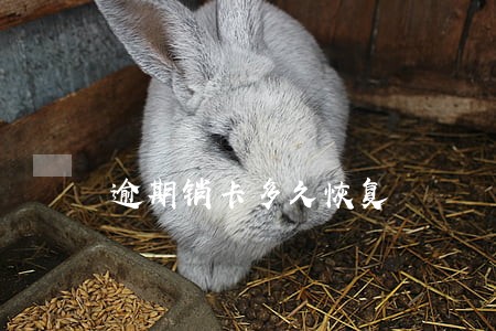 逾期销卡多久恢复 逾期销卡多久恢复