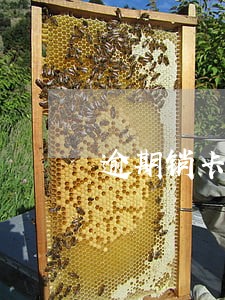 逾期销卡如何恢复 逾期销卡如何恢复