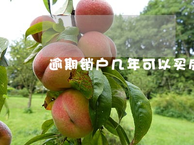 逾期销户几年可以买房
