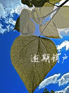 逾期销户后多久可以重新办卡 逾期销户后多久可以重新办卡