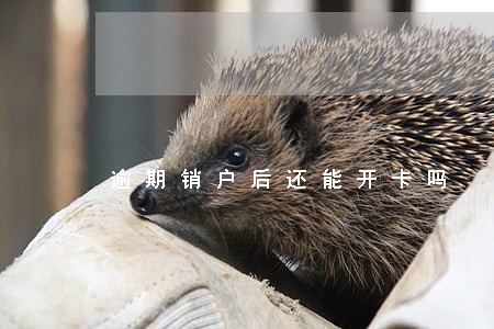 逾期销户后还能开卡吗 逾期销户后还能开卡吗