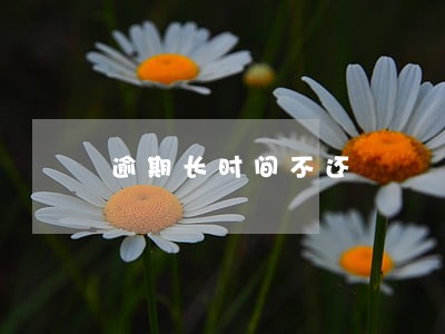 逾期长时间不还 逾期长时间不还