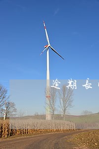 逾期长时间不问 逾期长时间不问