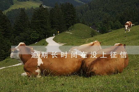 逾期长时间在没上征信 逾期长时间在没上征信