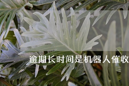 逾期长时间是机器人催收吗 逾期长时间是机器人催收吗