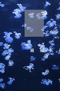 逾期长达一年怎么办