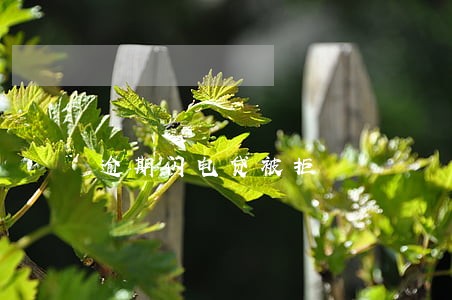 逾期闪电贷被拒 逾期闪电贷被拒