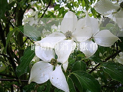逾期问消费账单 逾期问消费账单