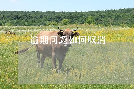 逾期问题如何取消