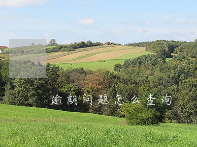 逾期问题怎么查询