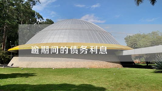 逾期间的债务利息 逾期间的债务利息
