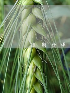 逾期防爆通讯录 逾期防爆通讯录