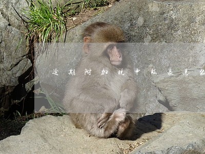逾期附加税申报表怎么填 逾期附加税申报表怎么填