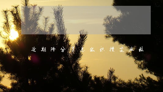 逾期降分了怎么积攒芝麻粒 逾期降分了怎么积攒芝麻粒