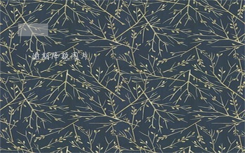 逾期降额图片 逾期降额图片