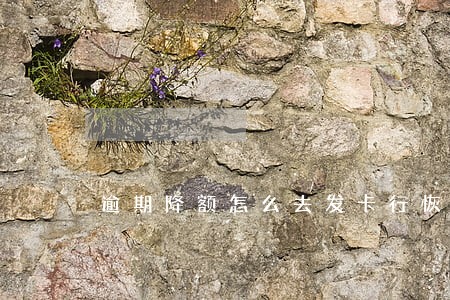逾期降额怎么去发卡行恢复 逾期降额怎么去发卡行恢复