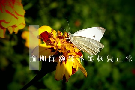 逾期降额能不能恢复正常
