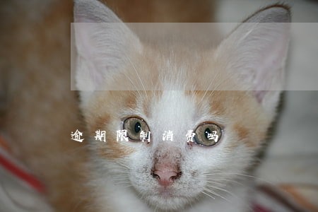 逾期限制消费吗