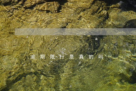 逾期限行是真的吗 逾期限行是真的吗