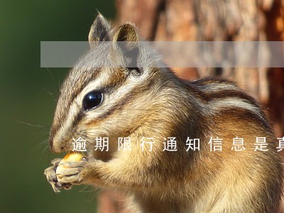 逾期限行通知信息是真是假