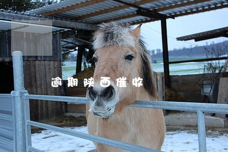 逾期陕西催收 逾期陕西催收