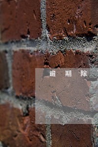 逾期除了罚息还有什么