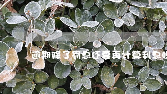 逾期除了罚息还要再计算利息吗 逾期除了罚息还要再计算利息吗