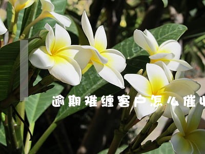 逾期难缠客户怎么催收 逾期难缠客户怎么催收