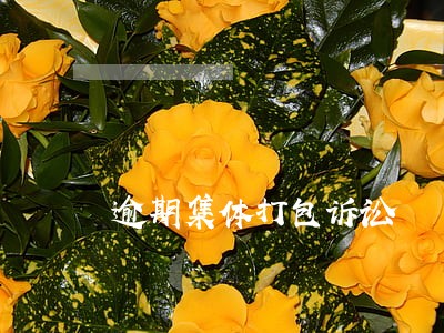 逾期集体打包诉讼 逾期集体打包诉讼
