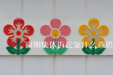 逾期集体诉讼案什么意思 逾期集体诉讼案什么意思