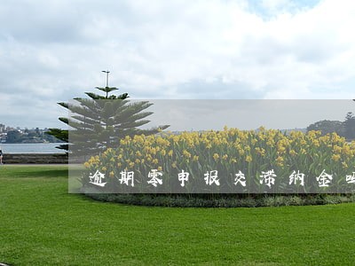 逾期零申报交滞纳金吗 逾期零申报交滞纳金吗