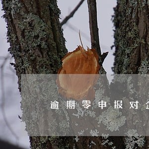 逾期零申报对企业有啥影响 逾期零申报对企业有啥影响
