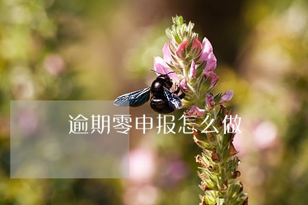 逾期零申报怎么做 逾期零申报怎么做