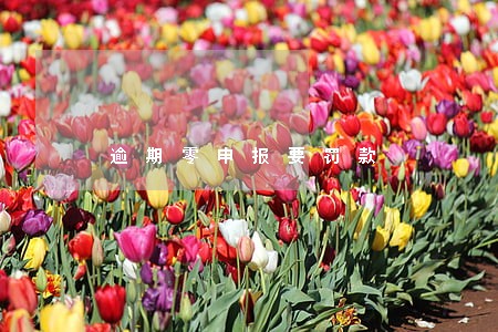 逾期零申报要罚款 逾期零申报要罚款