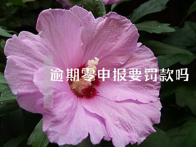 逾期零申报要罚款吗