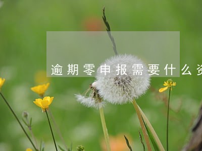 逾期零申报需要什么资料 逾期零申报需要什么资料