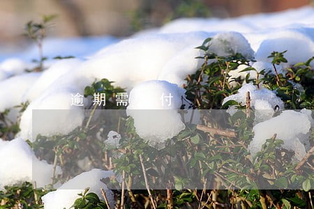 逾期需支付 逾期需支付