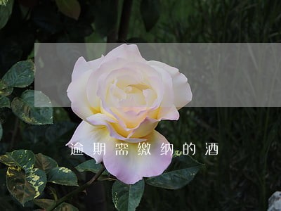 逾期需缴纳的酒