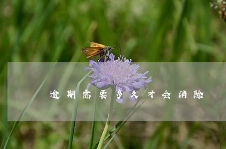 逾期需要多久才会消除 逾期需要多久才会消除