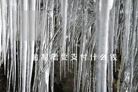 逾期需要支付什么钱 逾期需要支付什么钱
